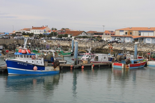 LE PORT DE LA COTINIÈRE - ÎLE D'OLÉRON 