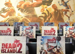 Affiches du jeu Dead Island 2