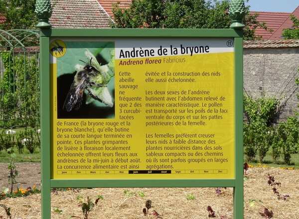 De magnifiques panneaux pédagogiques, prêtés par le Jardin des Plantes de Paris, ont décoré le jardin du château de Montigny sur Aube, durant tout l'été