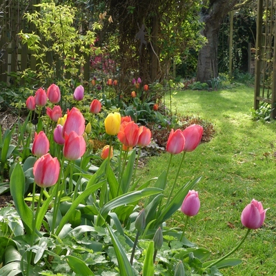 Un petit tour de jardin juste avant Pâques
