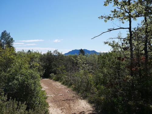 Au fond, la montagne de la Loube