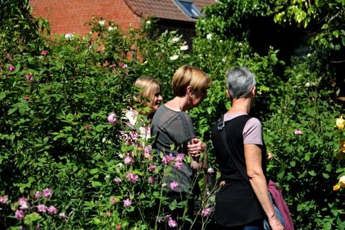 Lesdain, pays des fraises et des roses