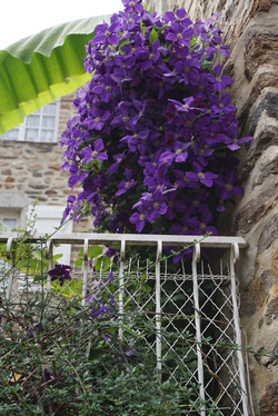 Echappée Belle dans le Cantal (1)