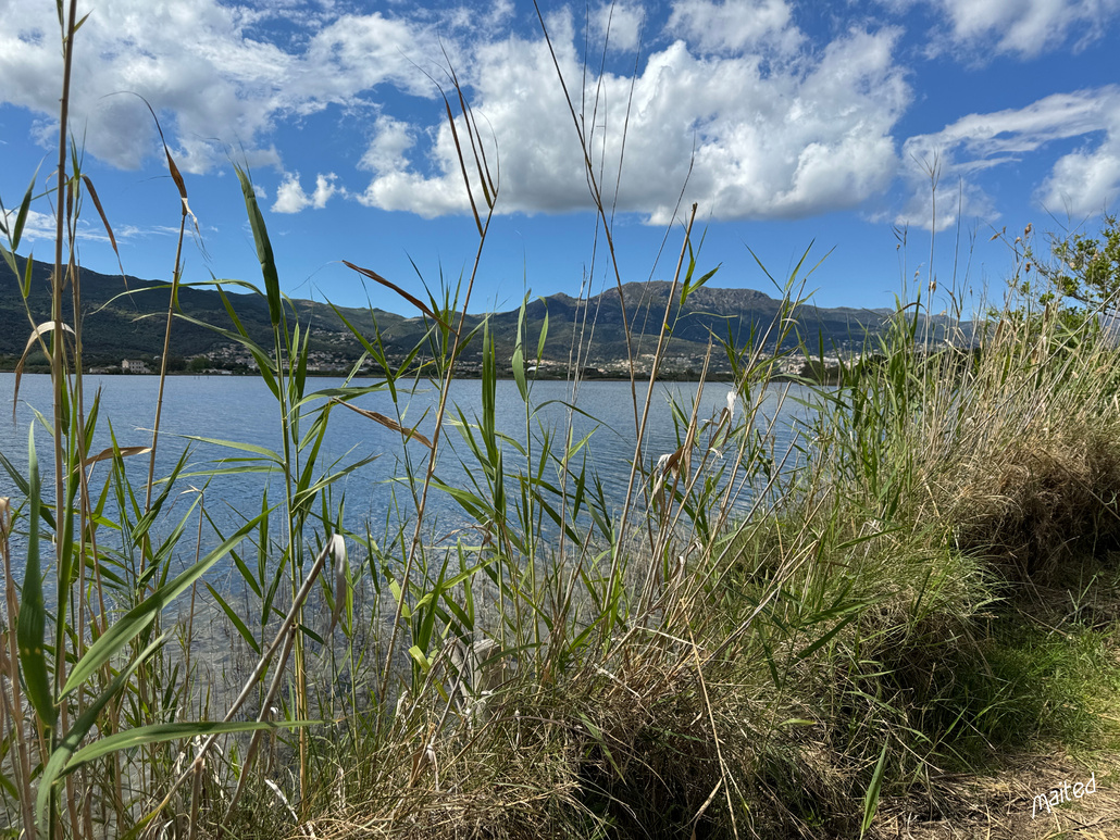 Etang de Biguglia