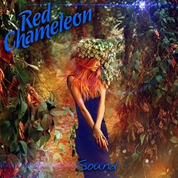 RED CHAMELEON - Take You Away  (Chillout)