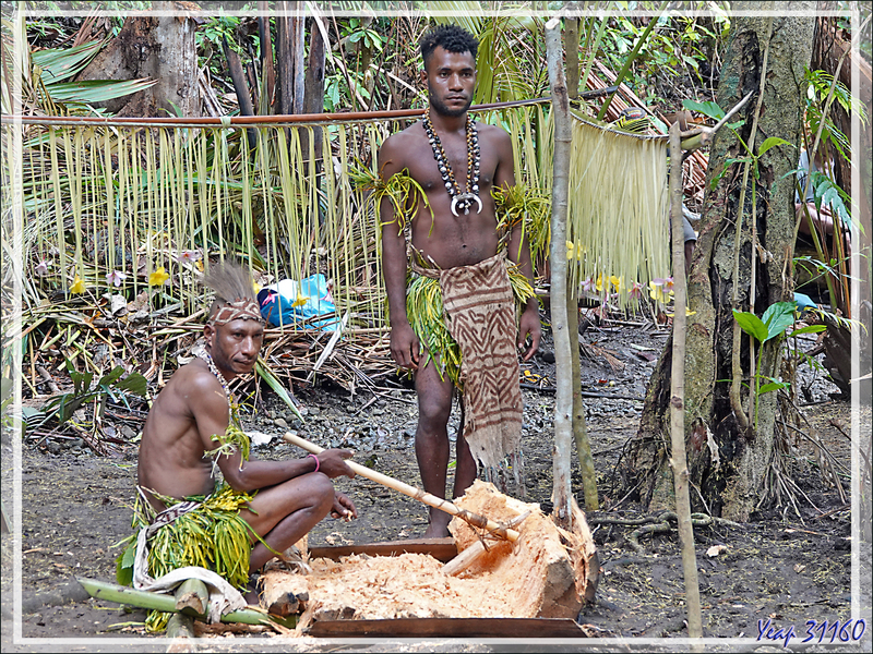 Nous sommes accueillis dans un plantation de sagoutiers où nous assisterons à l'extraction et la manipulation du sagou - Tufi - Maclaren Harbour - Province d'Oro - Papouasie Nouvelle-Guinée