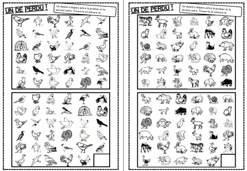 Un de perdu, discrimination visuelle, autonomie, GS, CP, attention, dixmois