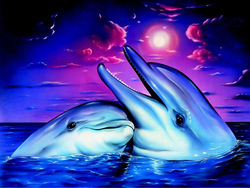 MY WORLD OF DOLPHINS