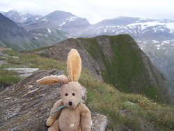 mascotte en montagne