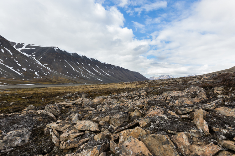 Bolterdalen