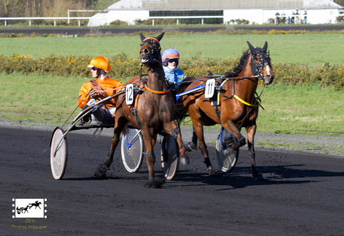 PRIX VILLE ST-MARTIN LEZ TATINGHEM (Gr A)