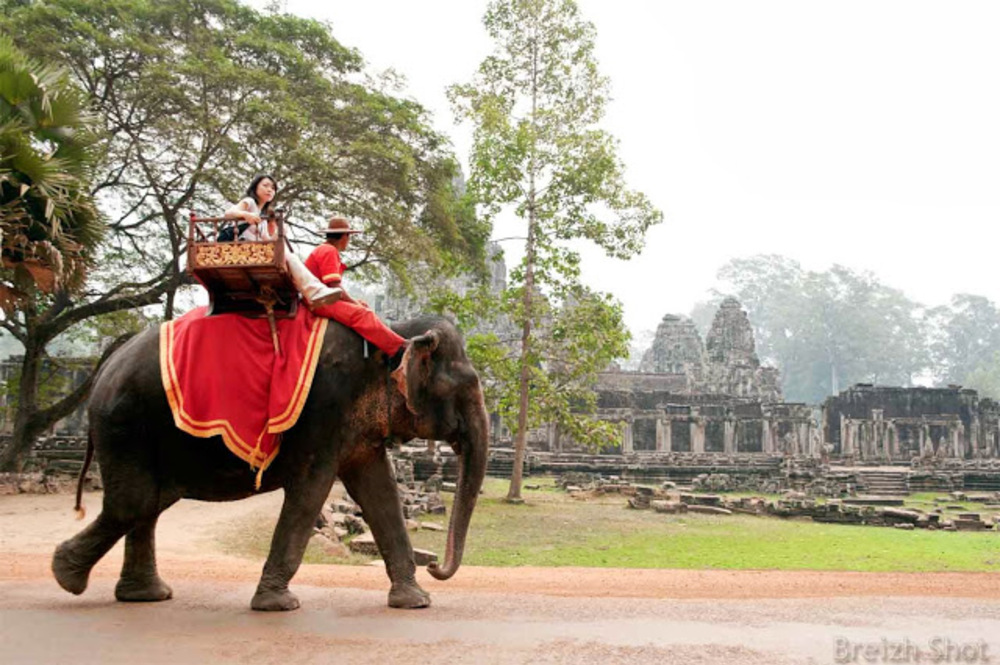 Balade à dos d'éléphant à Angkor Thom