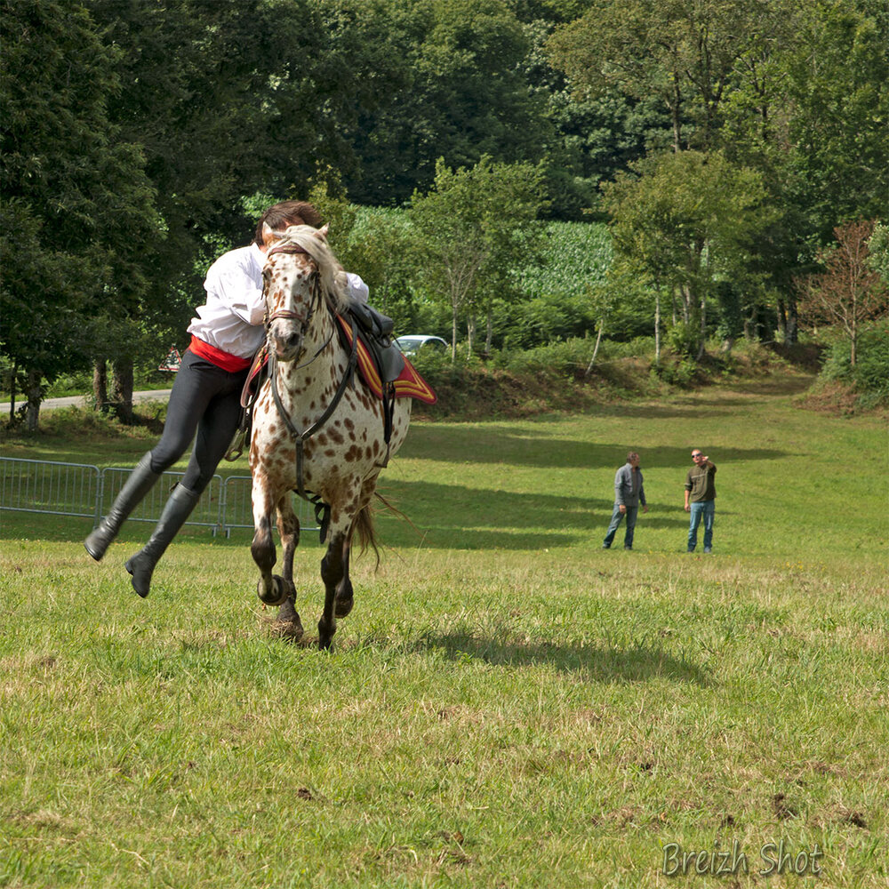 acrobatie equestre - Caval Production - Quistinic
