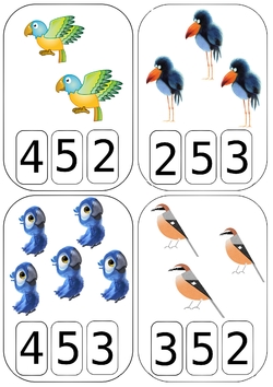 Cartes à compter oiseaux