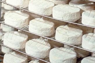 LES FROMAGES DE NOS REGIONS LE CAMAMBERT