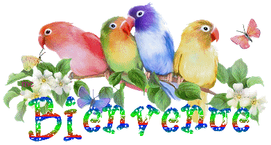 bienvenue-oiseaux-jolis-couleurs-.gif
