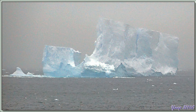 La journée du 22/03 s'achève en naviguant direction de Siple Island. Toujours dans une atmosphère brumeuse, nous observons encore des phoques, puis, en retrouvant les eaux libres, des icebergs