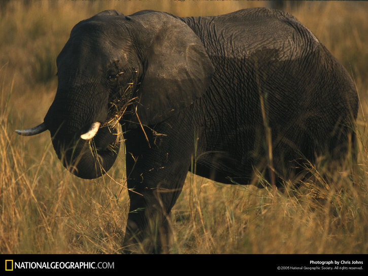 10 Images de Natl. Geographic 2