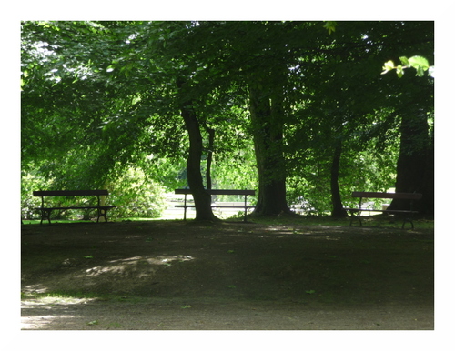 Le Jardin des Plantes du Mans