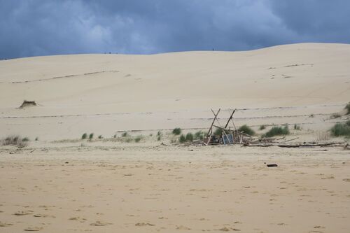 Circuit pédestre de la Dune du Pilat