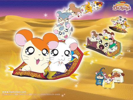 hamtaro