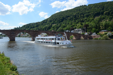 Allemagne - Vallée du Neckar - été 2014