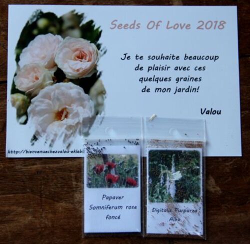 Seeds of Love 2018 : du bonheur dans la boîte aux lettres ! (7)