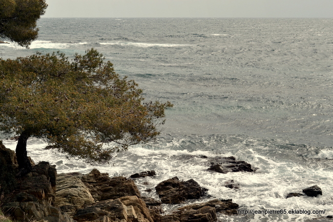 2014.03.24 Les Issambres, St-Raphaêl (département du Var)