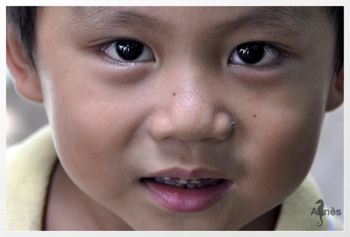 VIET NAM portraits