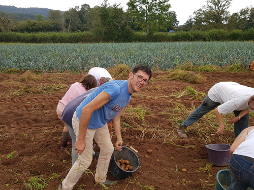 Une journée à la recherche de l'or jaune des champs