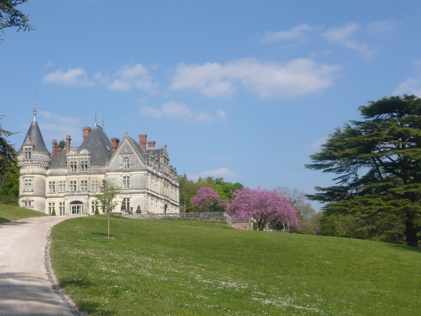 Château de La Bourdaisière (37)