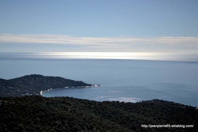 2014.03.26 Bormes les Mimosas, Domaine de Rayol (département du Var)