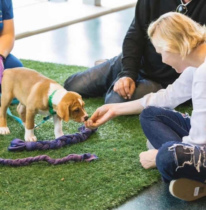 Charlène visite une fondation pour les animaux 