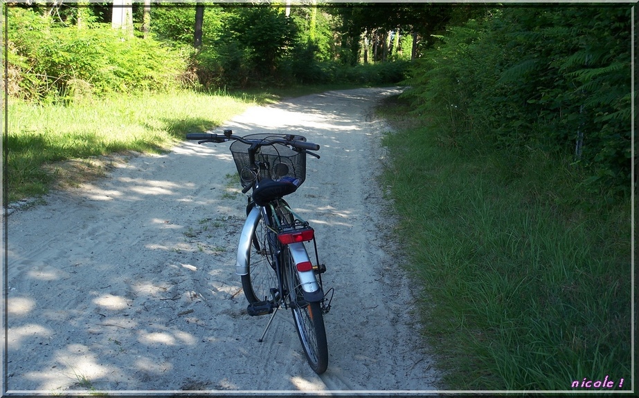  Le vélo je suis ...                                1007