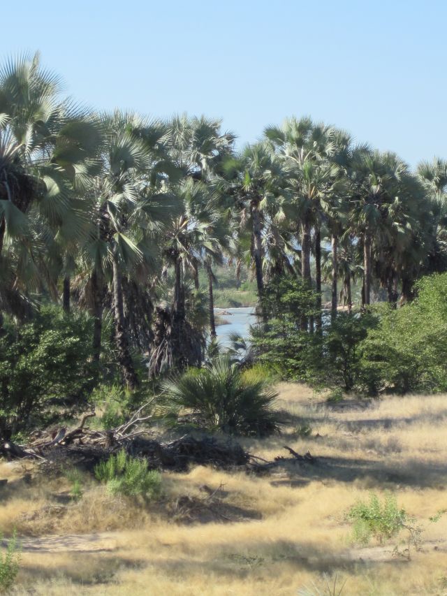 En suivant le Kunene
