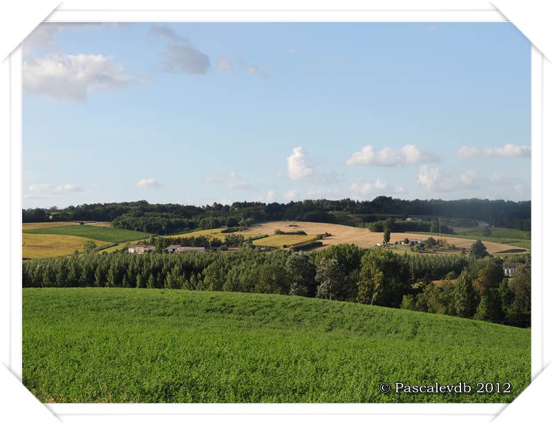 Dans la campagne marmandaise - 2/3