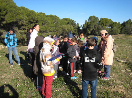 L'oppidum de Pech Maho.