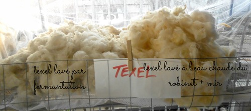 lavage de toison par fermentation