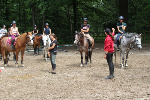 Louise, équitation, Team LMs, ENE, Formation Initiale, DESJEPS, Formation Universitaire et Professionnelle