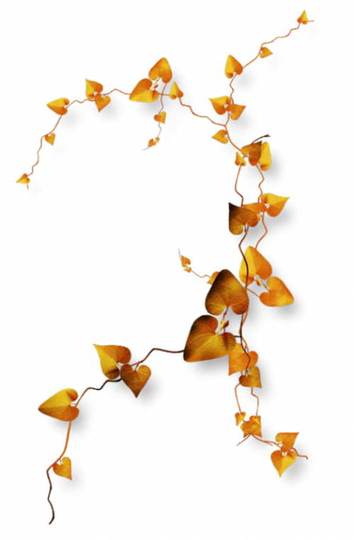 Tubes : végétations