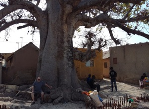 3 - Sénégal