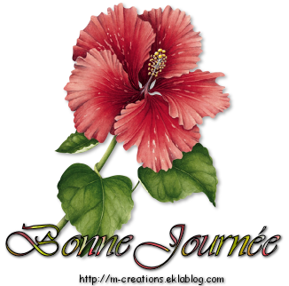 Proverbe Premiere Rencontre Amoureuse