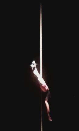 CM1 A spctacle de cirque pour noel