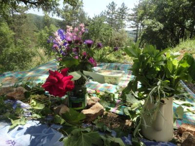 Blog de melimelodesptitsblanpain : Méli Mélo des p'tits Blanpain!, Saint-Jean d'été/Solstice d'été
