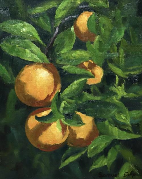 Dessin et peinture - vidéo 3946 : Comment peindre des agrumes (oranges) ? - huile ou acrylique.