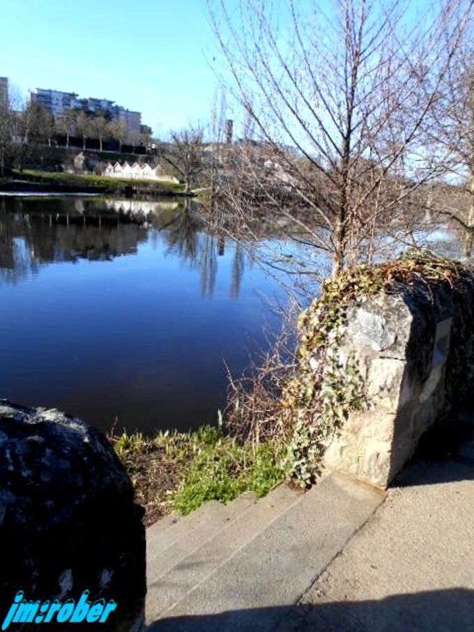 Balade printanière sur les bords de Vienne (2)