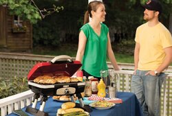 Best Electric BBQ - Buy Electric, Charcoal and Propane Grills At Best Prices