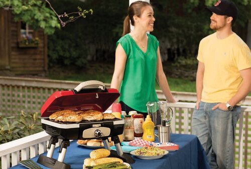 Weber Charcoal BBQ Grill - Buy Electric, Charcoal and Propane Grills At Best Prices