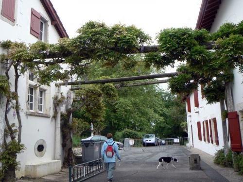 Arcangues, rendu célèbre par LUIS MARIANO, est un magnifique village vallonné qui a le charme d'un décor d'opérette.  Rendez vous sur la place et vous serez séduits !  La mairie et l'école aux volets bleus, du Bleu Arcangues, héritage de l'ancien Marquis d'Arcangues, le fronton et l'Auberge d'Achtal aux grandes tables de schiste, l'église et sa nef unique. De cette place vous aurez une vue unique sur le golf d'Arcangues qui ceinture le village et dont le parcours passe devant le château toujours habité par la famille d'Arcangues. En contrebas le sublime théâtre de la nature et bien sûr le Trinquet où vous pourrez assister à de mémorables parties de pelote.