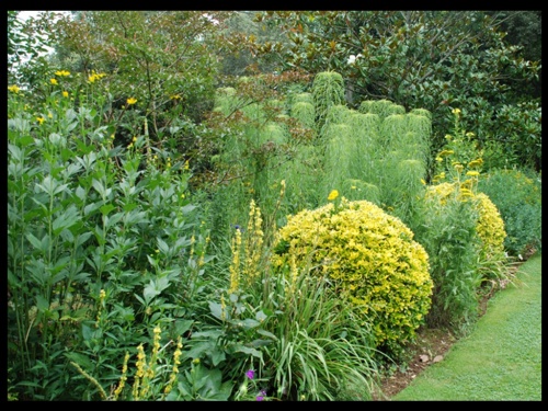 Jardin à l'anglaise